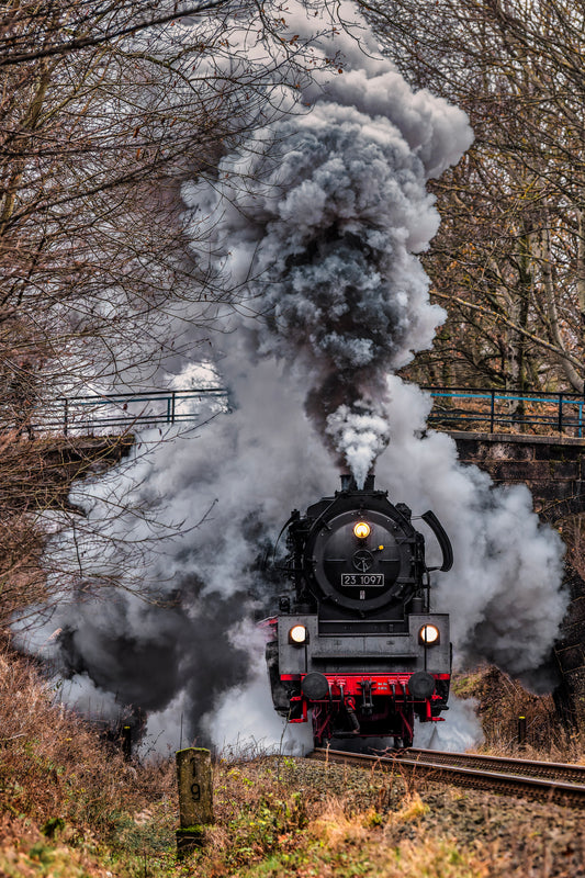 23 1097 in Falkenstein