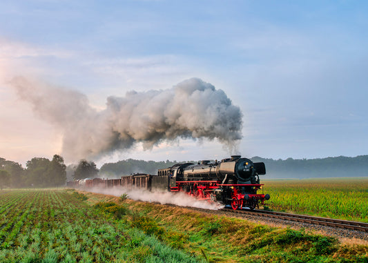 41 241 in den Niederlanden