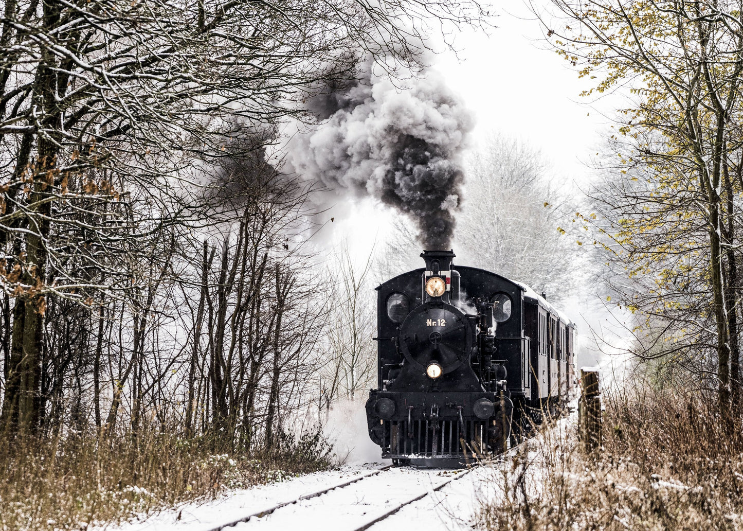 TKVJ 12 mit Weihnachtszug auf der Haderslev-Linie