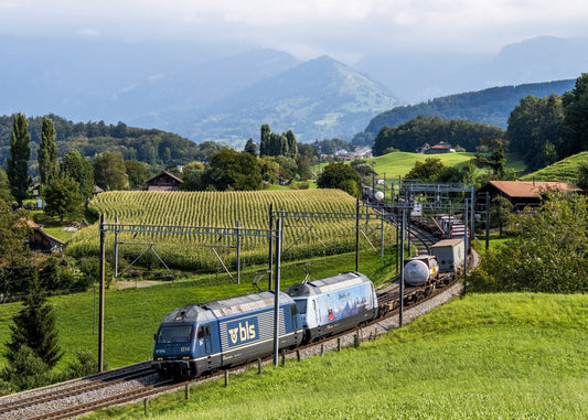 BLS Re 465 bei Spiez