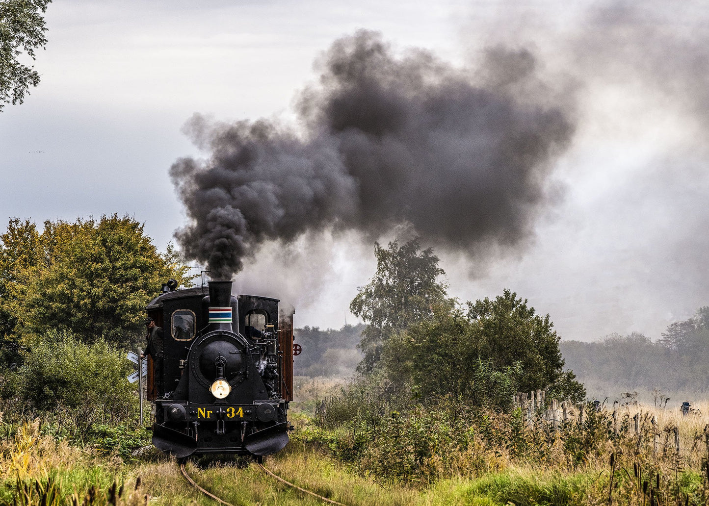 FFJ Nr. 34 auf der Güterbahn